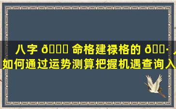 八字 🐞 命格建禄格的 🕷 人如何通过运势测算把握机遇查询入口在哪